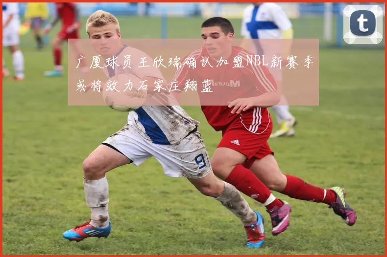 广厦球员王欣瑞确认加盟NBL新赛季或将效力石家庄翔蓝