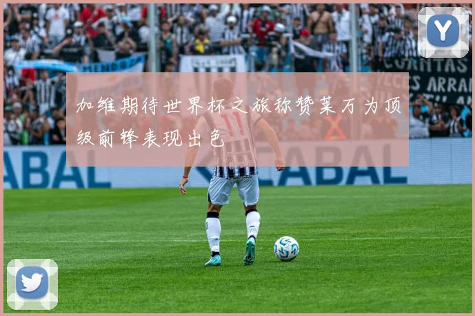 加维期待世界杯之旅称赞莱万为顶级前锋表现出色